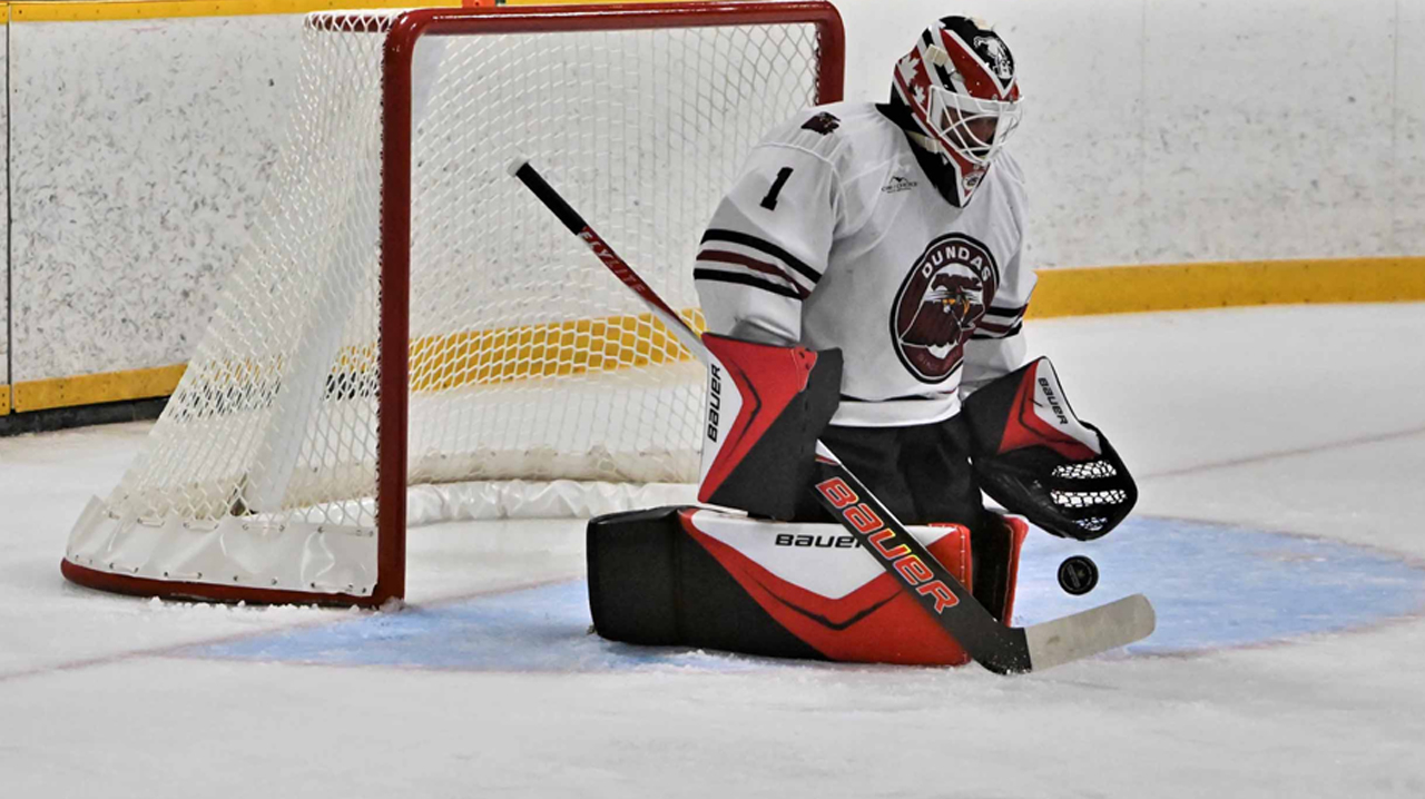 Mike Mole making a save on a Tigers shot.