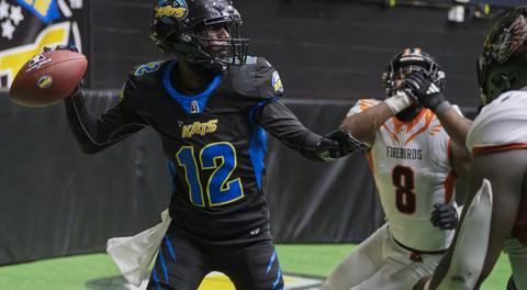 #KeepTheKats – A New Chapter on the Horizon