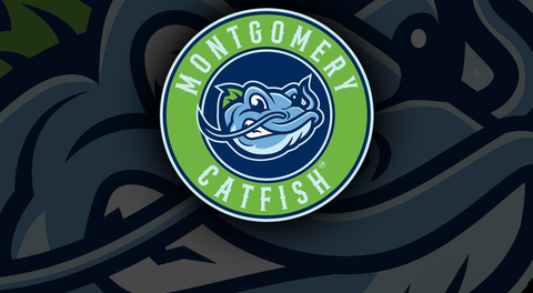 Welcome To Our New Website