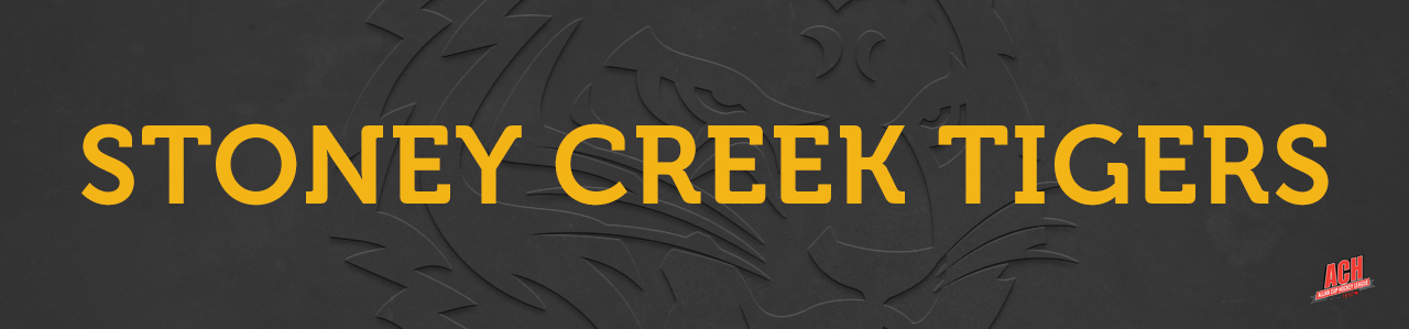 Stoney Creek Tigers