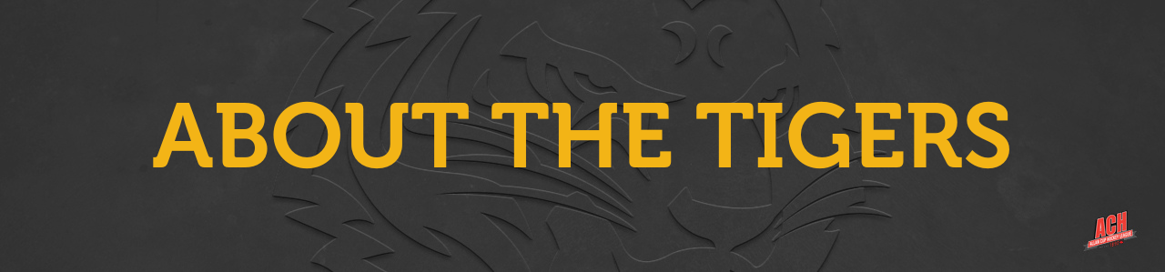 About the Tigers