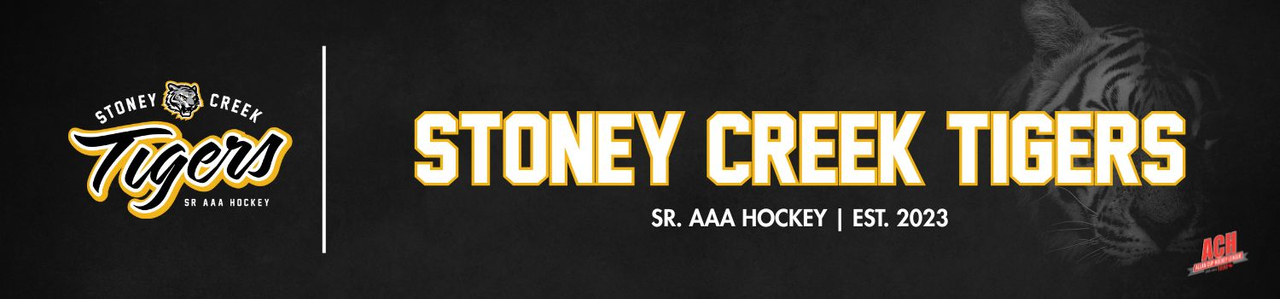 Stoney Creek Tigers