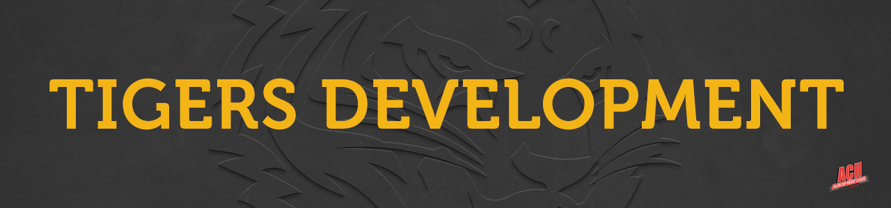 Tigers Development