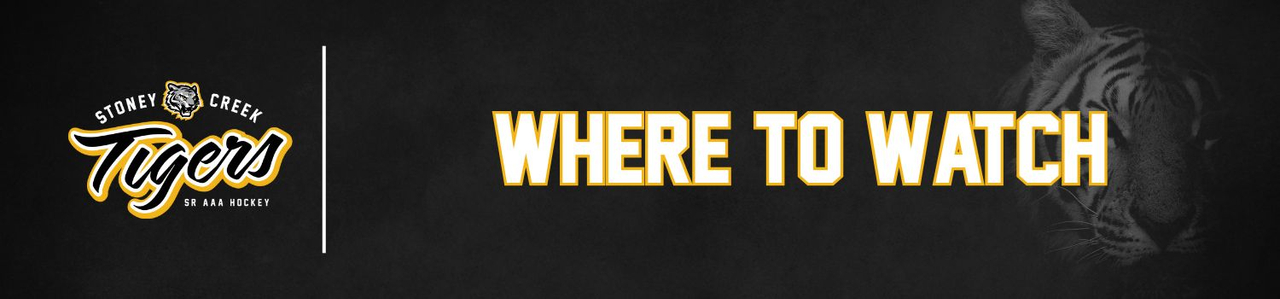 Where to Watch