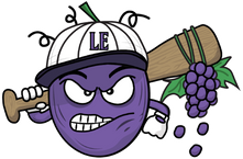 Lake Erie Crushers