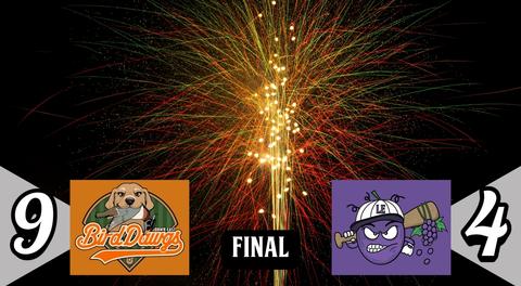 Scrappy Rebels Fall Short, Crushers Drop Star Wars Night to Bird Dawgs