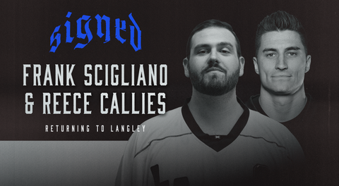 Back for another go: Veterans Scigliano, Callies return for another season