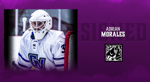 Motor City Signs Rookie Goaltender