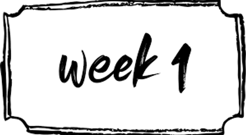 Adult Summer '26 Week 1 Schedule, Divisions and Rosters posted!