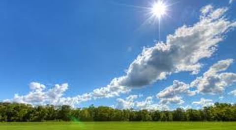 Winter Storm January 25 Update