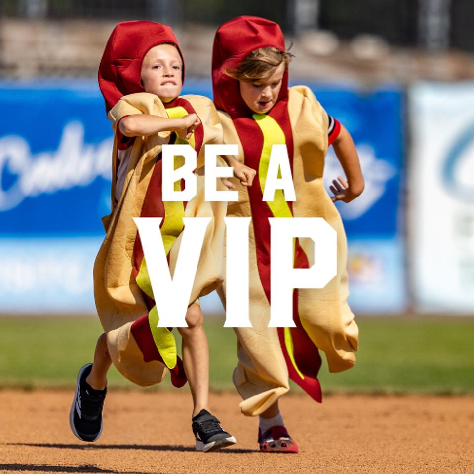 Be A VIP | Southern Maryland Blue Crabs Group Tickets & Experiences