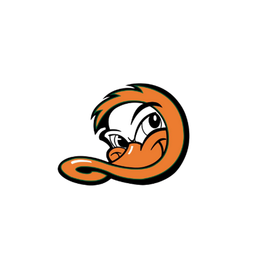 Long Island Ducks