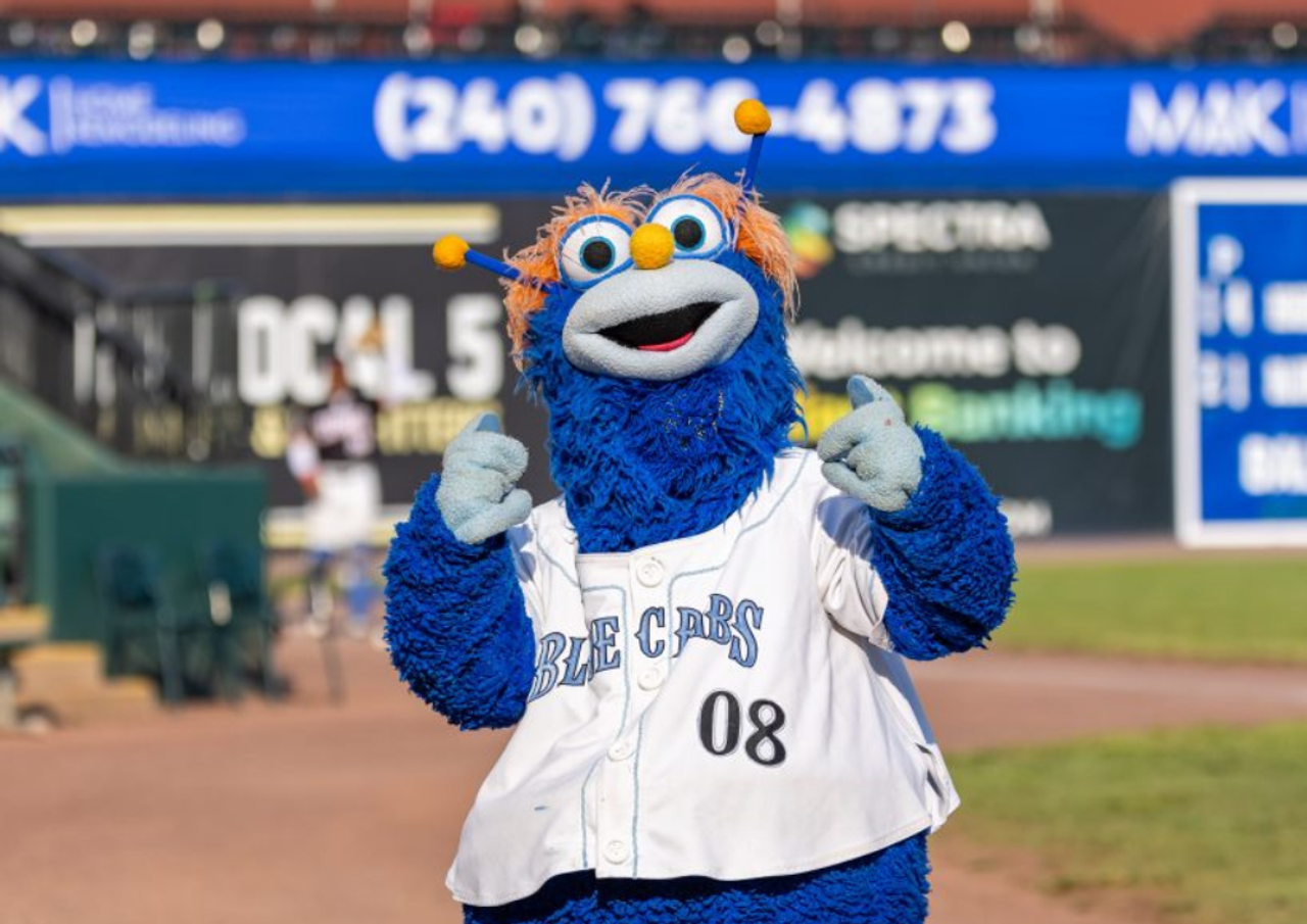 Pinch | Southern Maryland Blue Crabs mascot