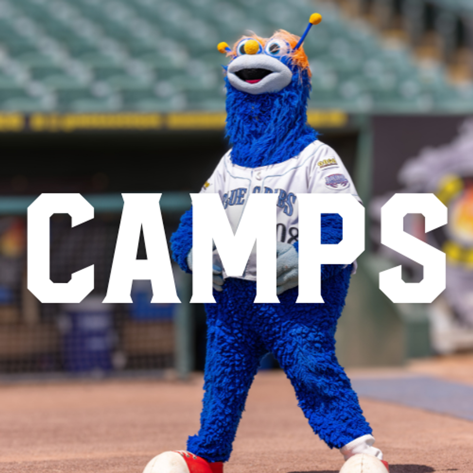 Camps | Southern Maryland Blue Crabs Camps & Clinics