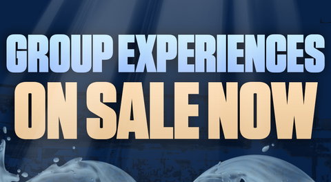 Crab Your Crew: Blue Crabs Unleash Epic Group Experiences for Every Occasion