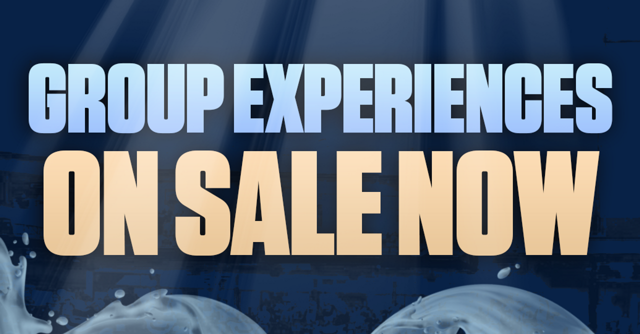 Group Experiences | On Sale Now Southern Maryland Blue Crabs