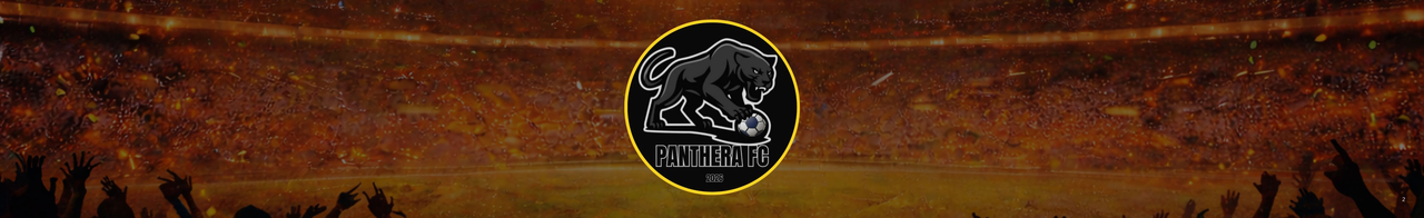 Panthera FC