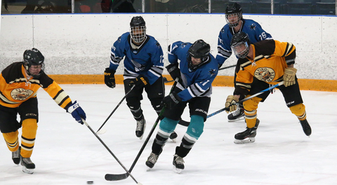 Sharks become first Free Agent Team to win Championship in Year 1