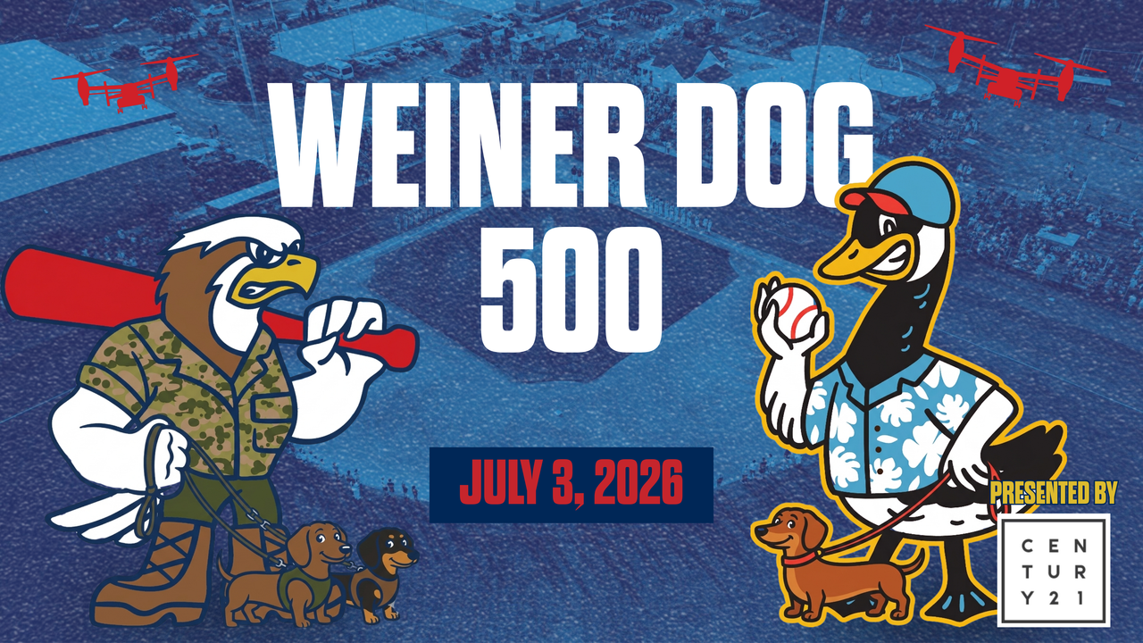 Weiner Dog 500 (Bark In The Park)
