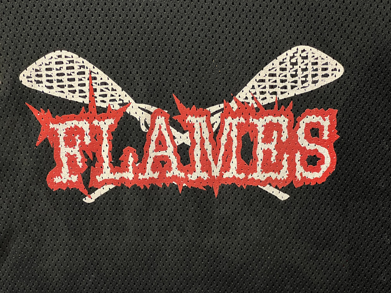 South Okanagan Flames
