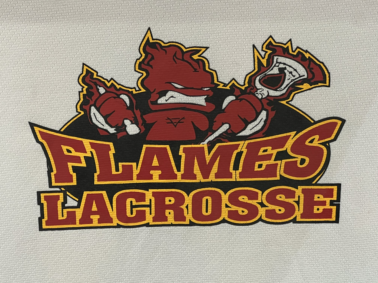 South Okanagan Flames