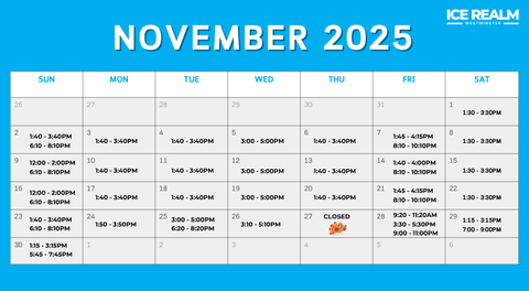 November Public Skating