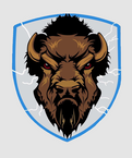 Buffalo Tempest Hockey Club