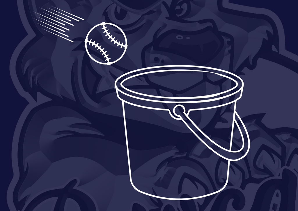 Chuck it in the Bucket