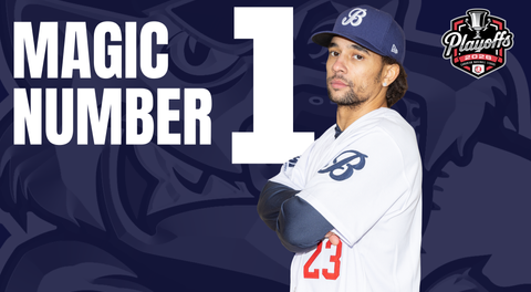Baycats Host Royals in Crucial Battle for Playoff Positioning