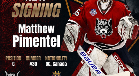 BRNO Lions Sign Goaltender Matthew Pimentel