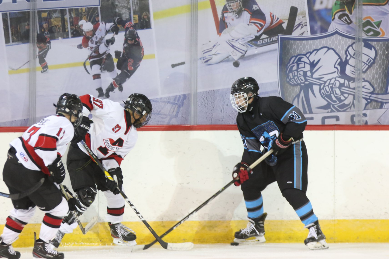 Erie MLK Cup Erie, PA TCS Hockey