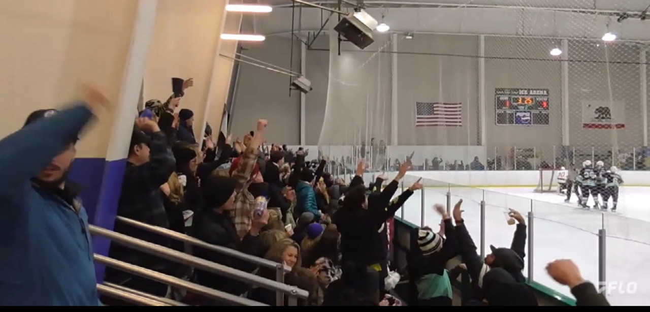 Crowd at a lakers Gaem