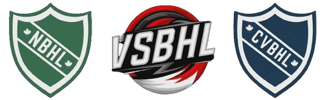 Island Ball Hockey Association