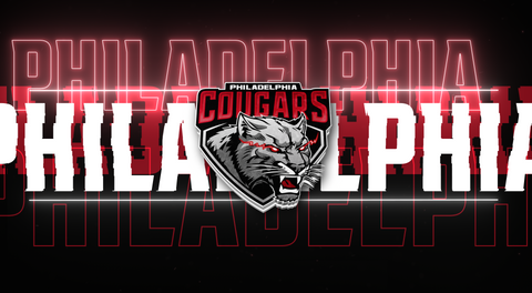 Philadelphia Cougars moving up to SFL with purchase of Florida Storm
