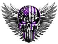 Pueblo Punishers - Professional Arena Football