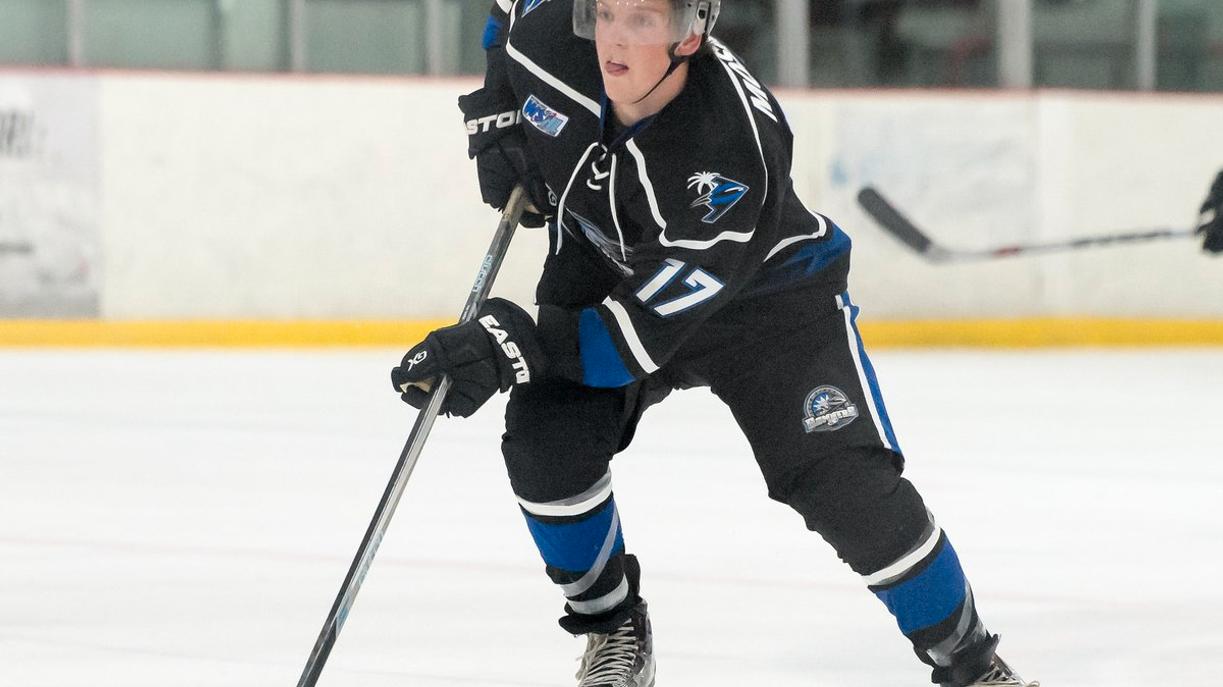 Ice Breakers Add Moskal Via Trade Federal Prospects Hockey League