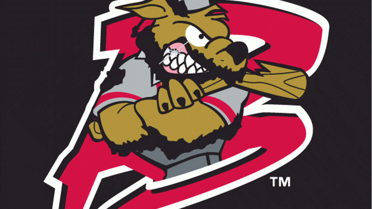 CANUSA Sports Continues Tradition with Muckdogs Batavia Muckdogs