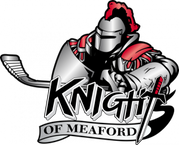 www.meafordknightshockey.com