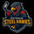 Ostrava Steel Hawks