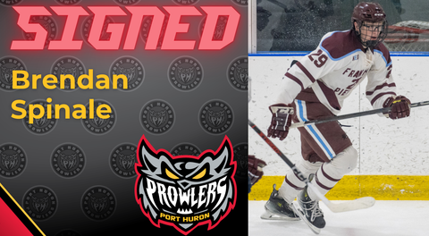 Prowlers Sign Franklin Pierce Defenseman Spinale