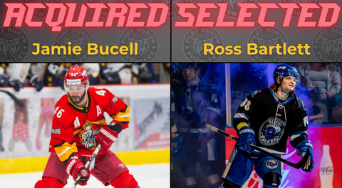 Prowlers Make Multiple Transactions on Dispersal Draft Day