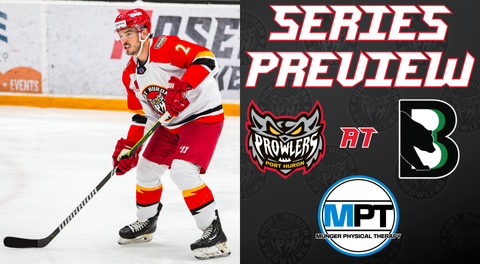 Series Preview: Invading the Bears Den