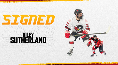 Prowlers Sign Rookie Forward Riley Sutherland