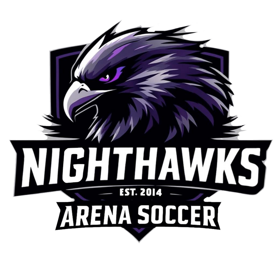 Nighthawks logo
