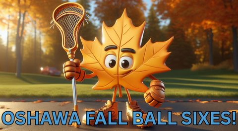 Oshawa Fall Ball Sixes!