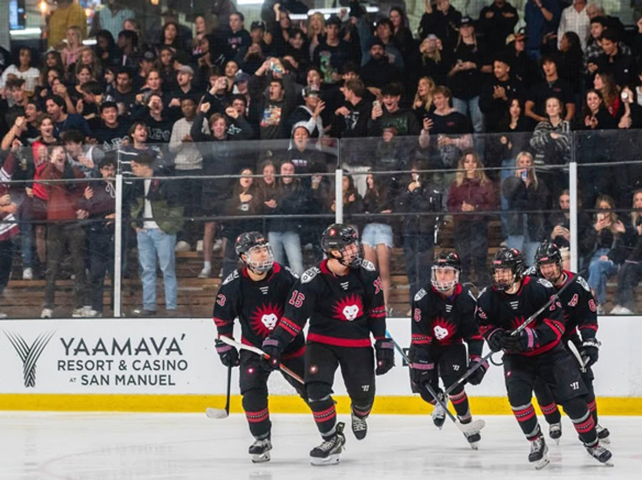 LMU Hockey
