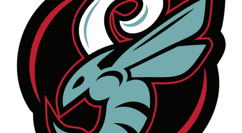 APHL suspends the Toledo Swarm for the 2026/2027 season.