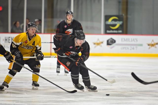 Michele Sylvester Photography