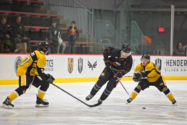 Michele Sylvester Photography