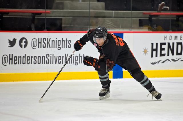 Michele Sylvester Photography